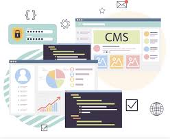 Choose Custom Cms Development Services For Web Solutions